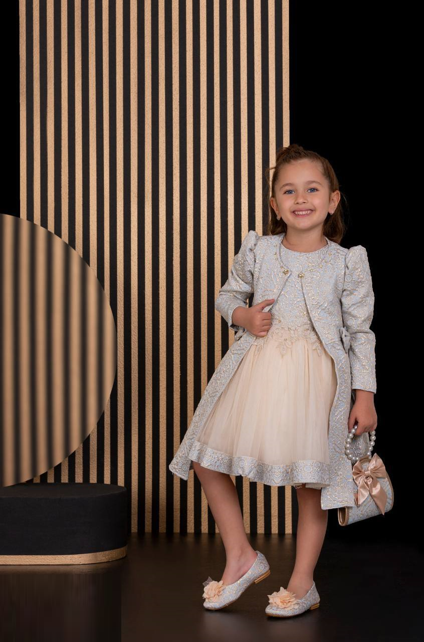 Floral Dresses Embroidery Fabric French Lace Girls Dress with Long stylish Coat, Bag and the Dress