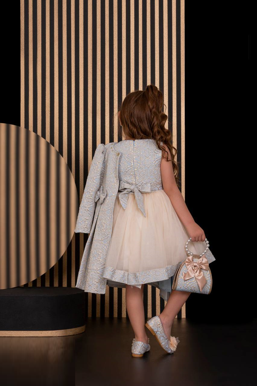 Floral Dresses Embroidery Fabric French Lace Girls Dress with Long stylish Coat, Bag and the Dress