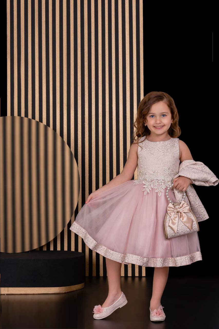 Floral Dresses Embroidery Fabric French Lace Girls Dress with Long stylish Coat, Bag and the Dress